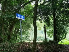 -白鹿洞书院