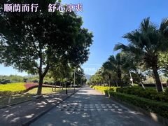 -风云岭森林公园