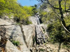 -王顺山国家森林公园