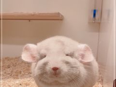 -龙猫仔乐园(惠福东路店)