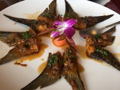 -千岛湖品鱼馆(钓鱼岛店)