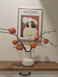 -FUMEIHUI·科技美肤·美体SPA