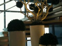 -上海龙之梦万丽酒店