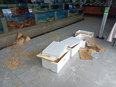 水产区-悦海楼(三衢路店)