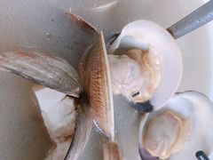 海鲜汤-明记海鲜大排档(巽寮湾店)