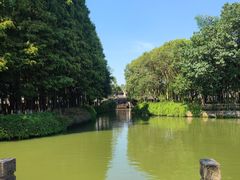 -乌镇东栅景区