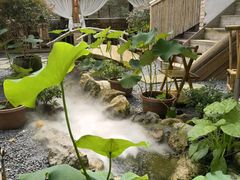 -伴山茶苑·一盏冰茶·半日山居
