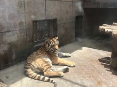 -西安秦岭野生动物园