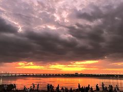 -宝安西湾红树林湿地公园