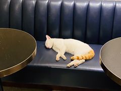 -星巴克臻选(思南公馆店)
