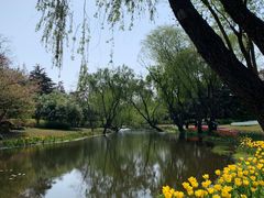 -上海滨江森林公园