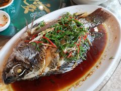 清蒸桂花鱼-明思味 二十年潮粤菜(榕城东山店)