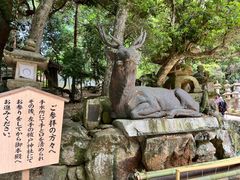 -奈良公园