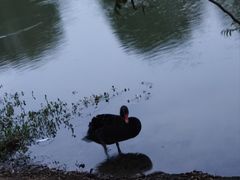 -瑶湖郊野森林公园