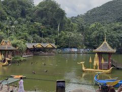 -西双版纳原始森林公园