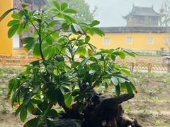 -重元寺香积厨素斋馆