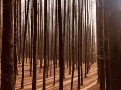-山王坪喀斯特国家生态公园