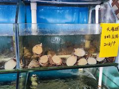 水产区-阿弟特色海鲜餐厅·大排档(平潭店)