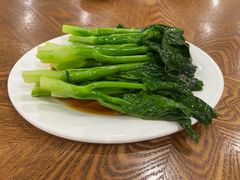 -富豪酒家(正大广场店)