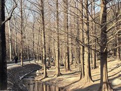 -白水寺森林公园