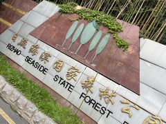 -日照海滨国家森林公园