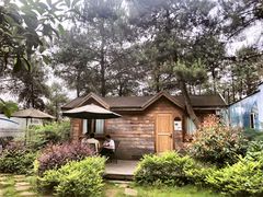 -铁山坪森林公园