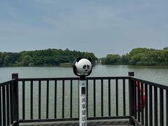 -苏州太湖国家湿地公园