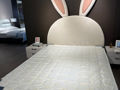 -月星国际建材家居生活广场(振兴大道店)