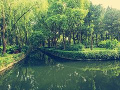 -白塘生态植物园