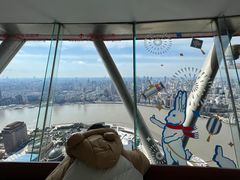 -东方明珠广播电视塔