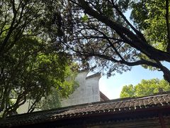 -天一阁博物院