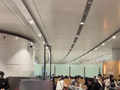 -麦当劳(北京大兴机场二层国内到达(安检外)店)