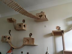 -Meowの猫咖(万家丽店)