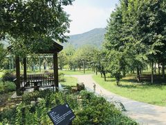 -龙寺生态园