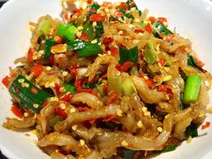 -壹盏灯(惠农店)