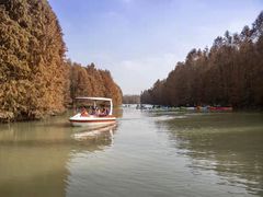 -上海海湾国家森林公园