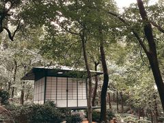 -中国茶叶博物馆(双峰馆区)