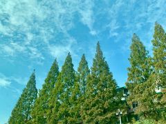 -杭州逸酒店(西湖武林店)