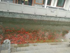 -济南方特东方神画