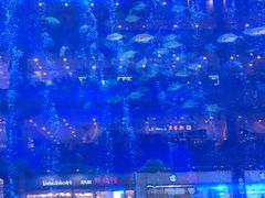 -成都浩海立方海洋公园