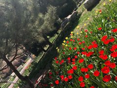 -石家庄市植物园