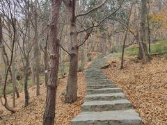 -南京市无想山景区