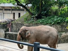 -深圳野生动物园