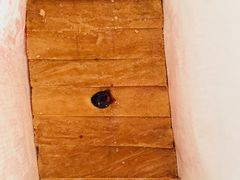 -爸爸糖吐司面包(扬州宝龙广场店)