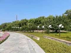 -野鸭湖国家湿地公园