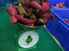 -QQ海鲜餐厅