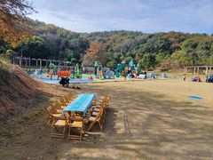 -龙寺生态园