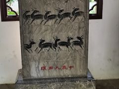 -上海醉白池公园