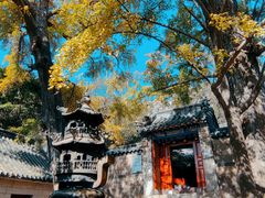 -青岛崂山太清宫