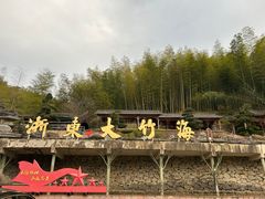 -宁波浙东大竹海景区